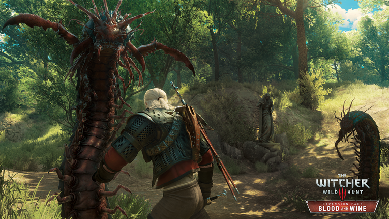 un video gameplay blood and win the witcher 3