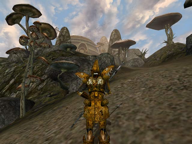 The Elder Scrolls III Morrowind - Bethesda Softworks