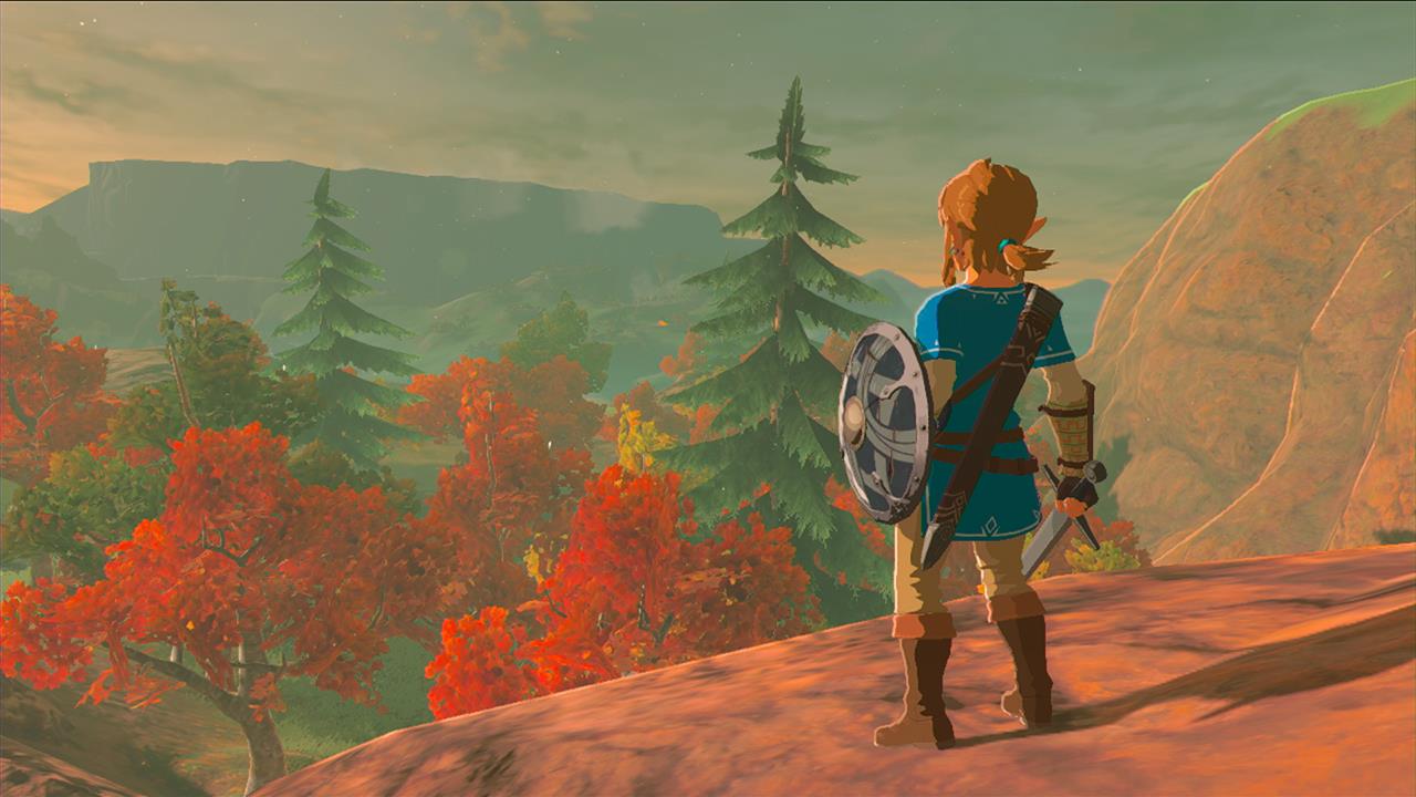 Zelda: Breath of the Wild multiplayer