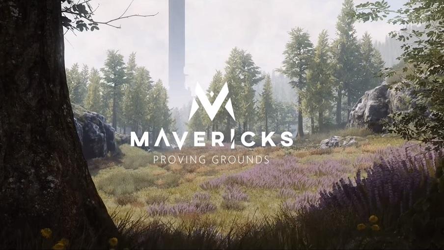 Mavericks Providing Grounds