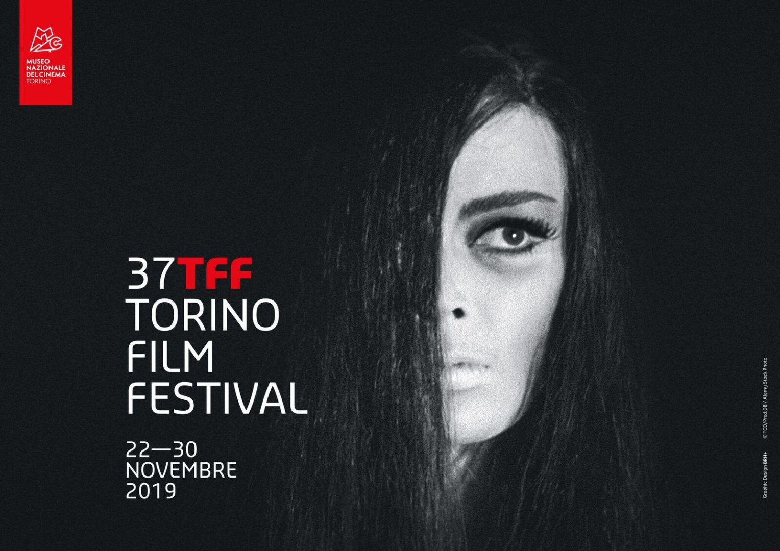 Torino Film Festival 37ª Edizione